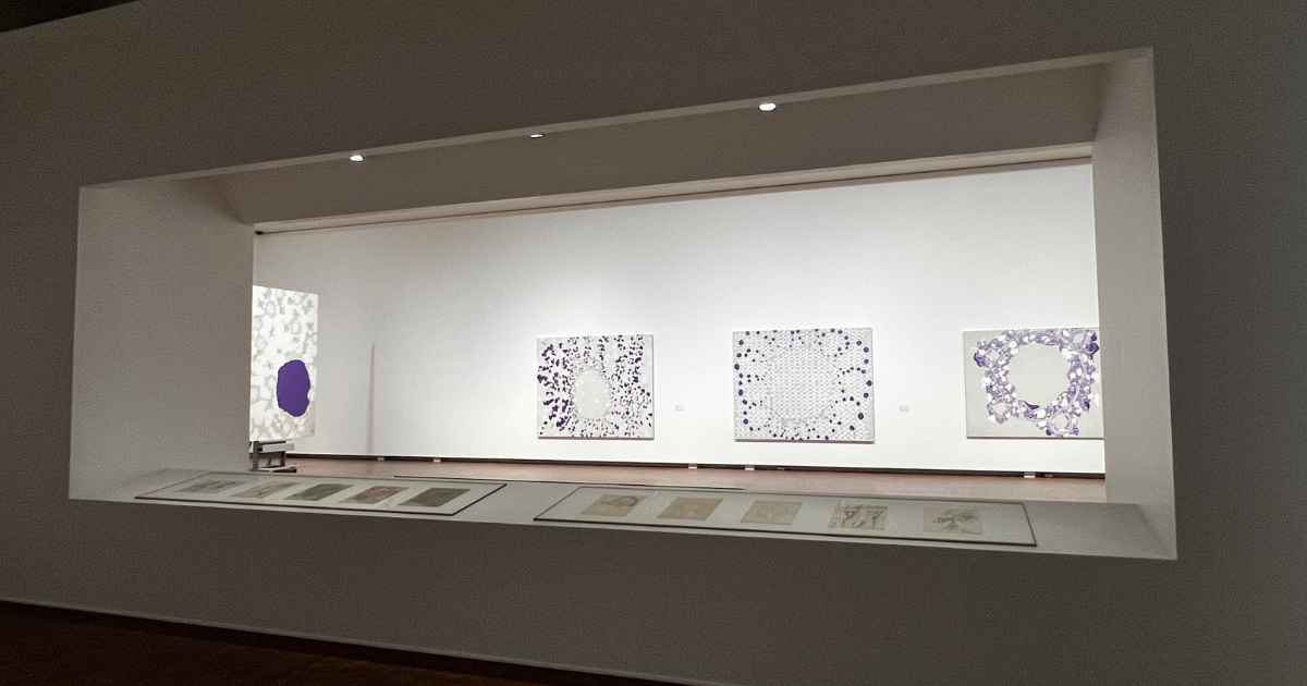「背・円（はい・えん）」シリーズの展示風景